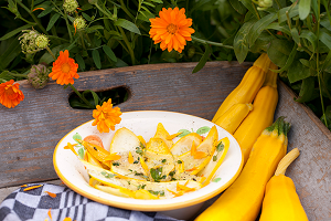 Frisse jonge courgettesalade